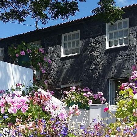 Casa Do Ze - Al Pension Manadas Buitenkant foto
