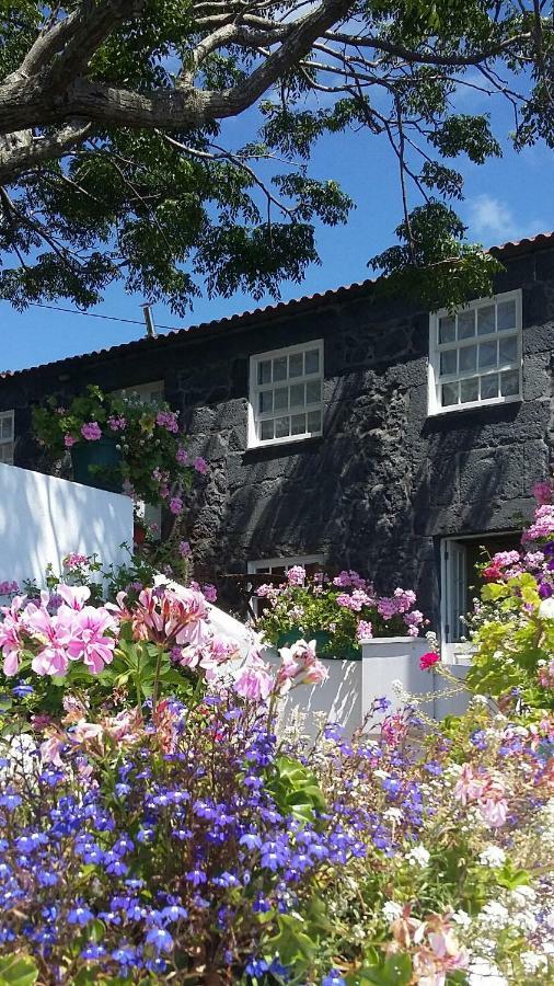 Casa Do Ze - Al Pension Manadas Buitenkant foto